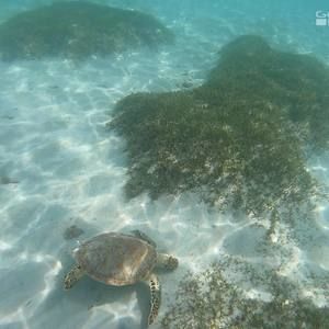 Meet your Posher, Kyler